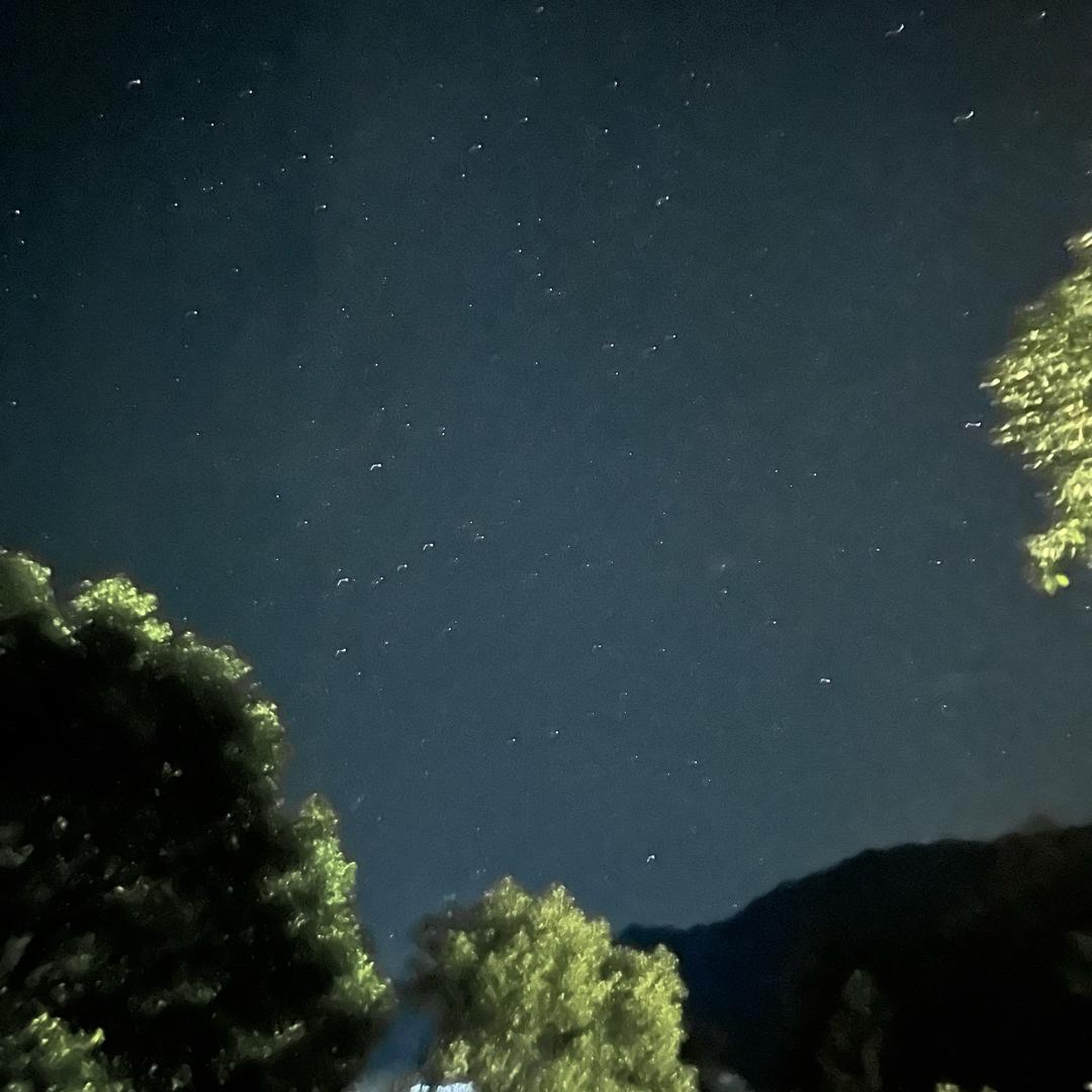 平奇老火煨汤