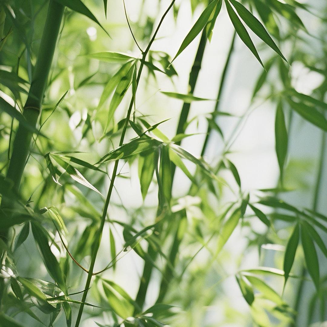 普希金分金
