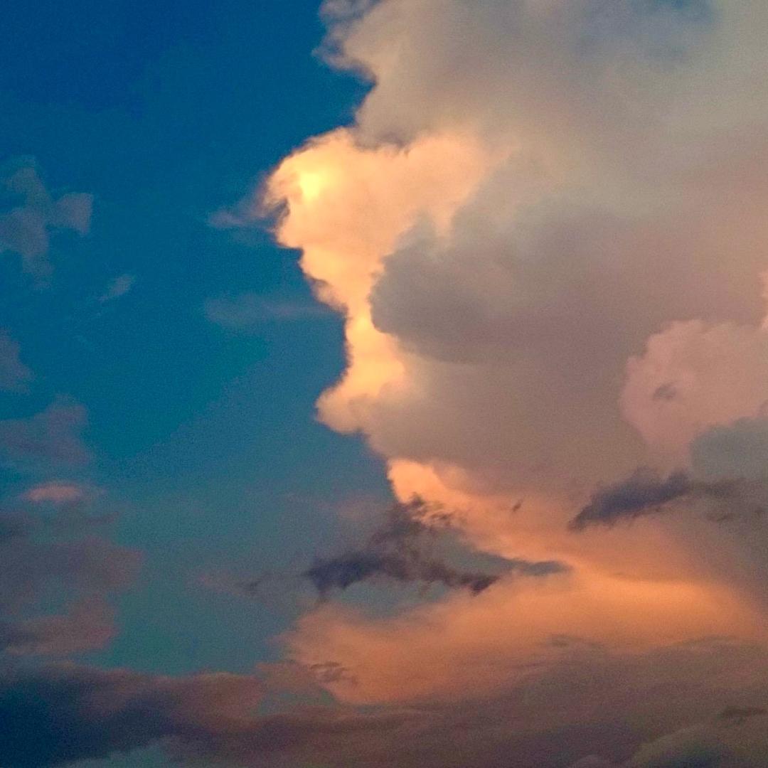 我的班主任是帅哥