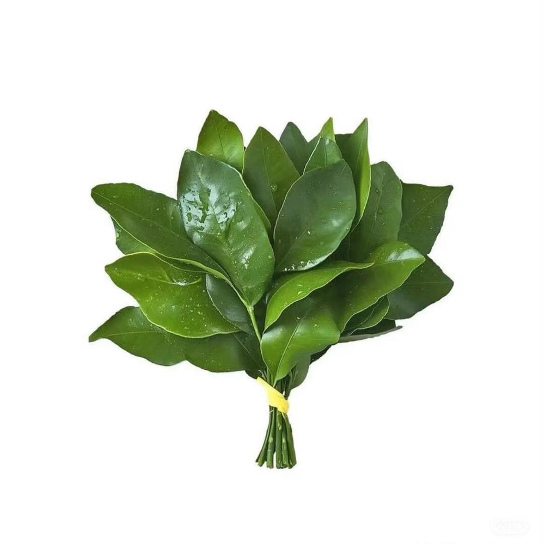 小魚干