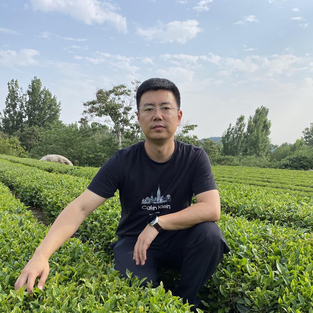 日照小尹茶厂
