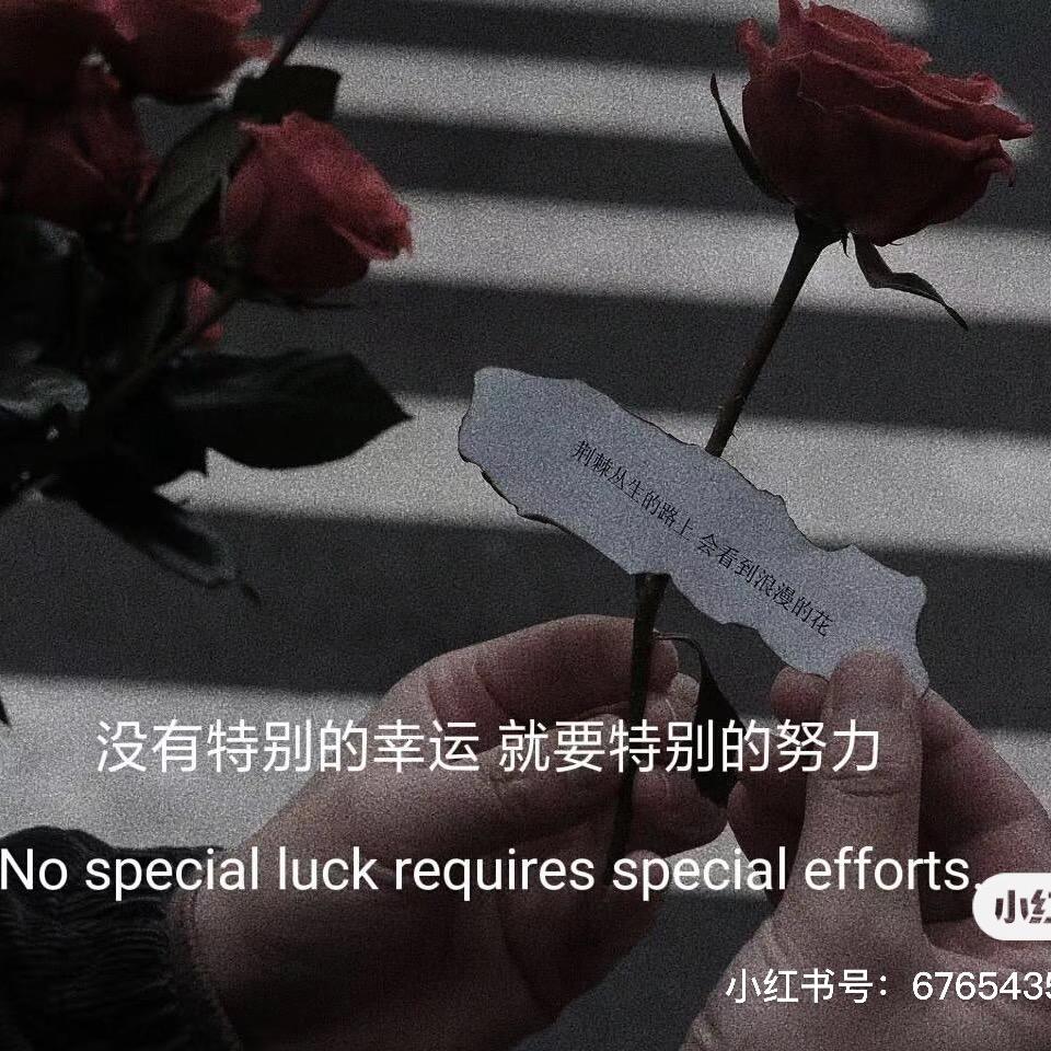 🐾壹拾贰月🍃🌸