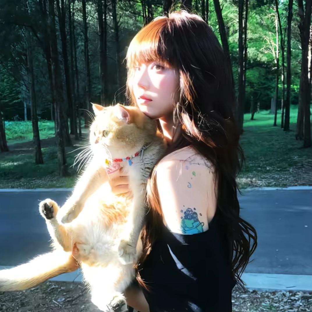 星星🌟