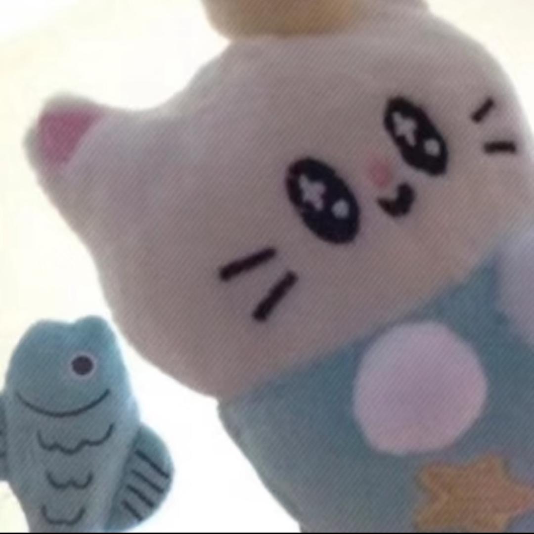 東京魚.（并不喜欢吃魚🌧️）
