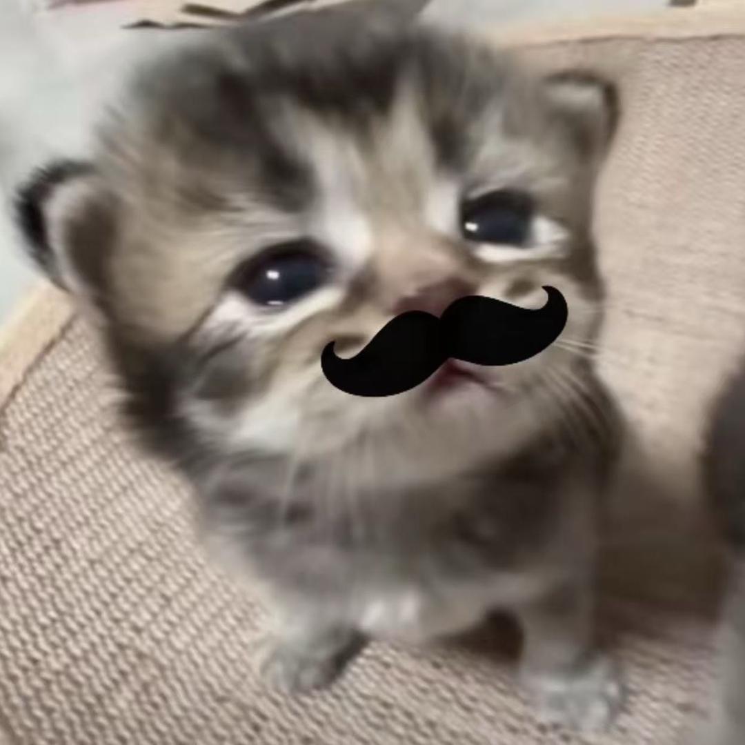 宅