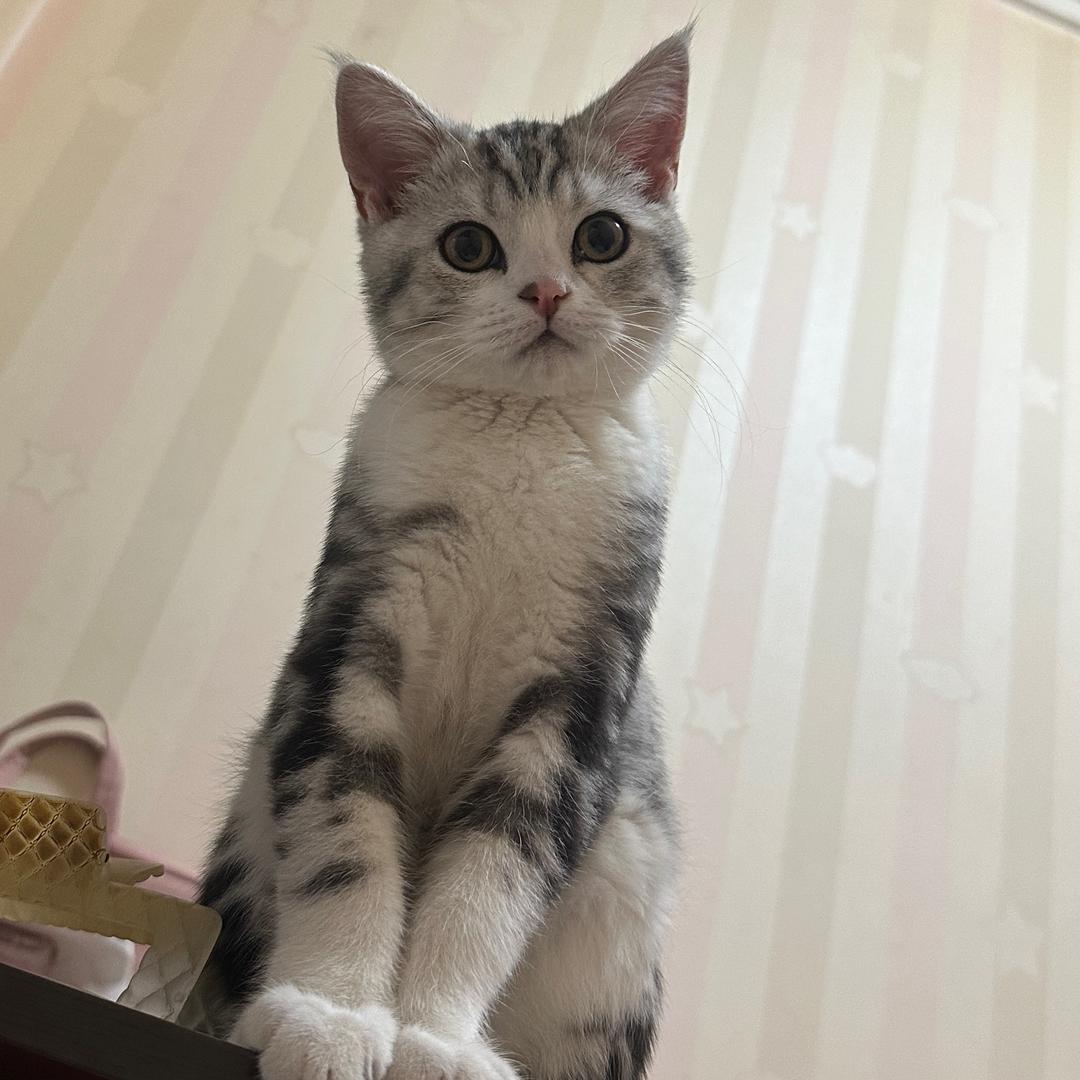 小富贵