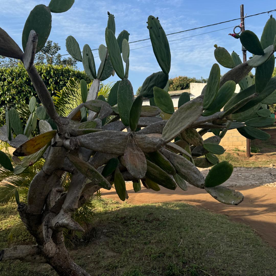 ℳঞ 浊酒🦍封喉