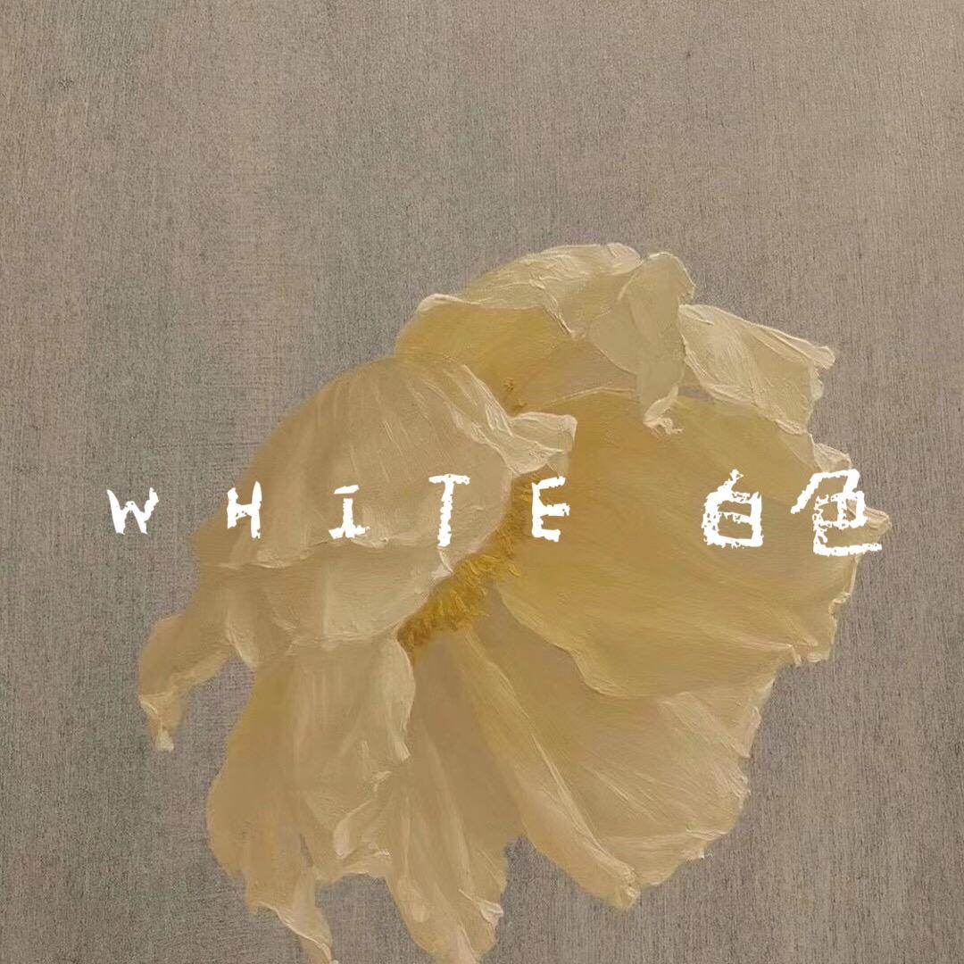 那白家精品买手韩女装（东大门上新中）