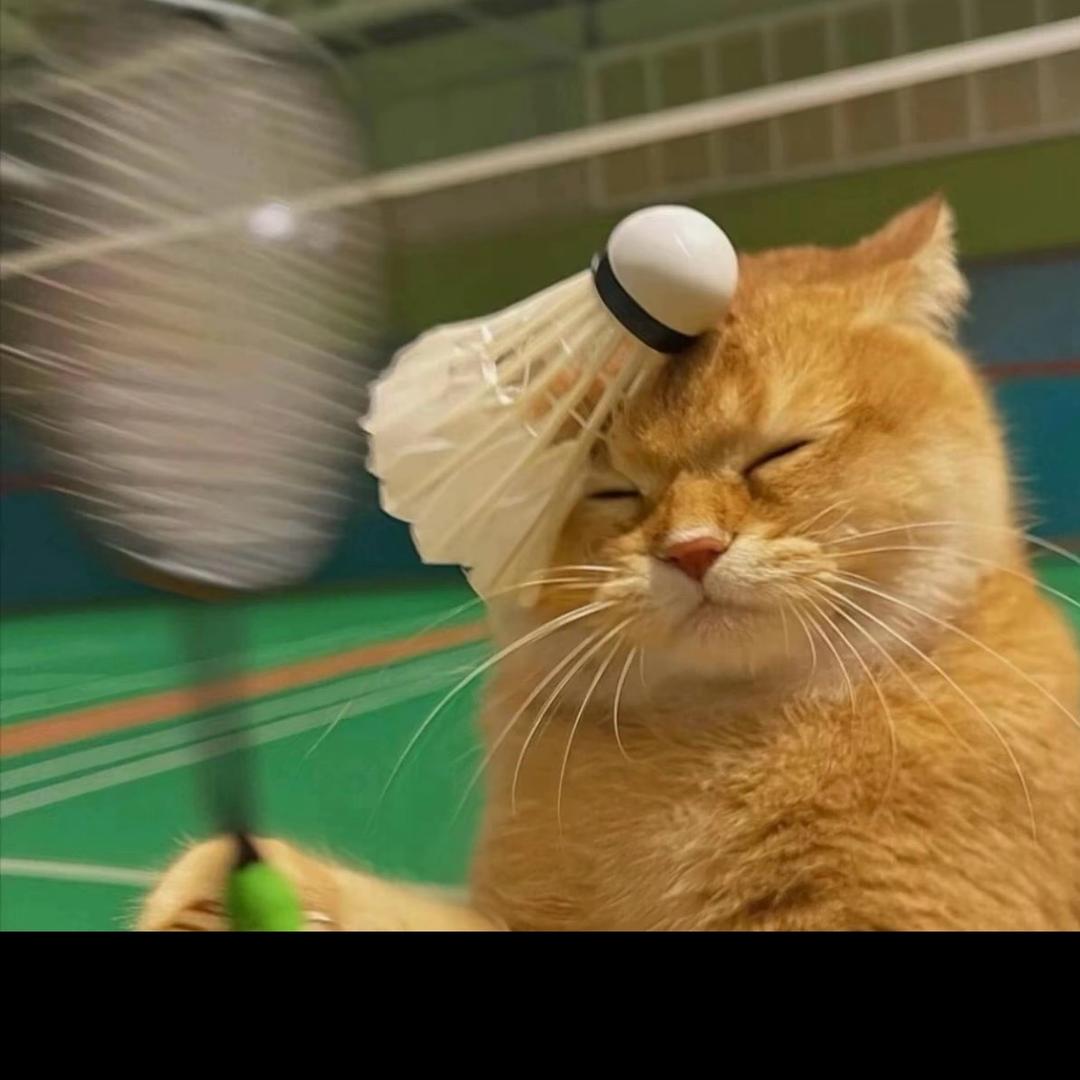 不会跳杀🏸²⁰²⁵