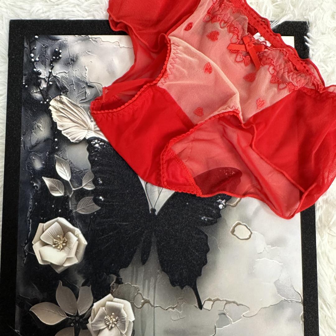 芳芳女士内裤