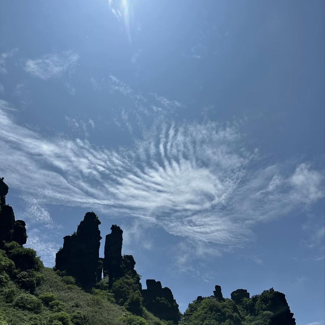 燕子延津离津