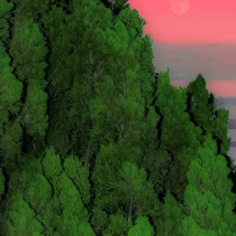 木