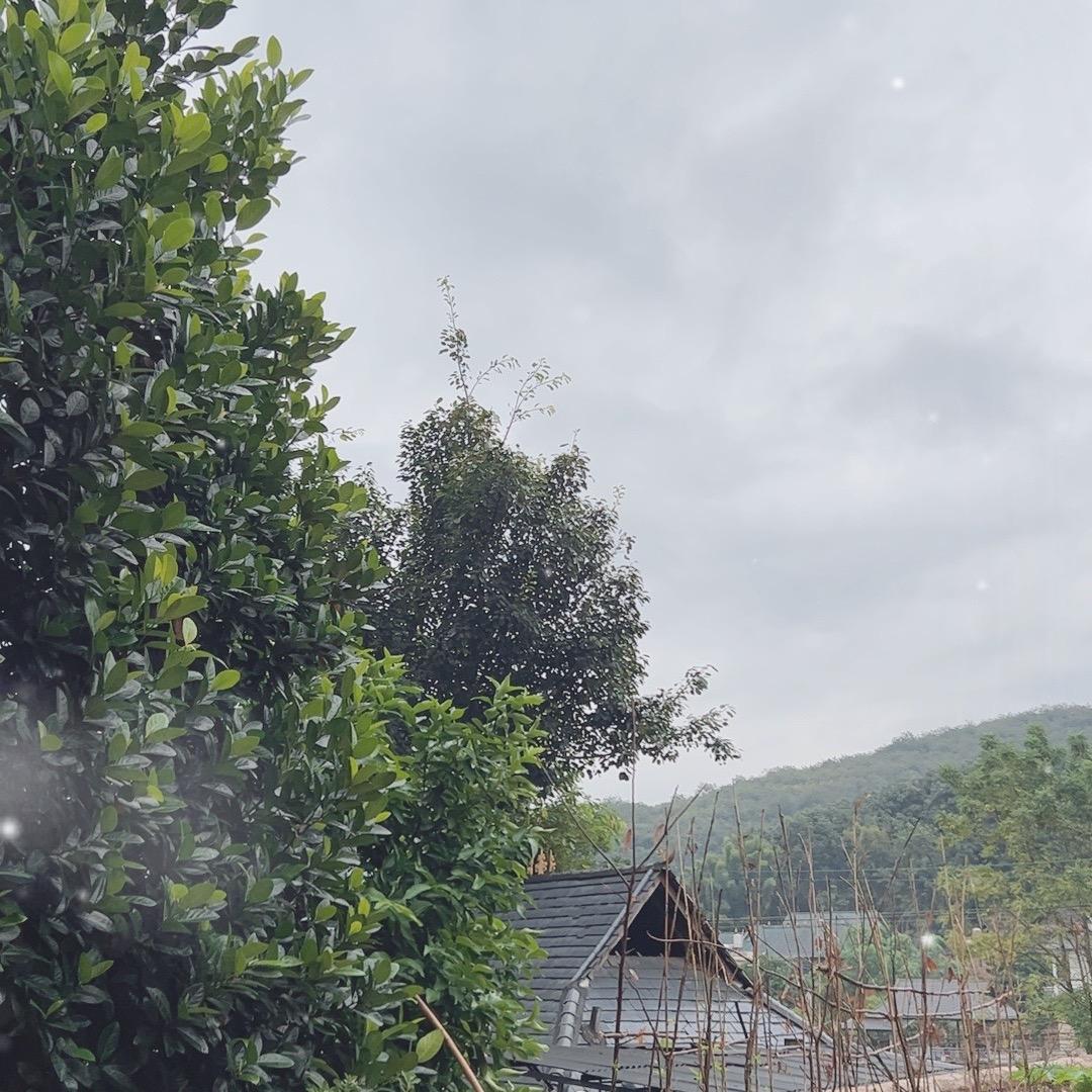 🌈🏀天天想你