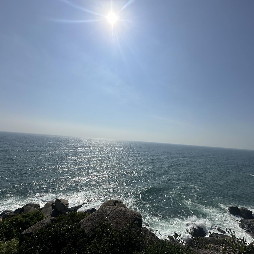 宅速洁室内空气净化