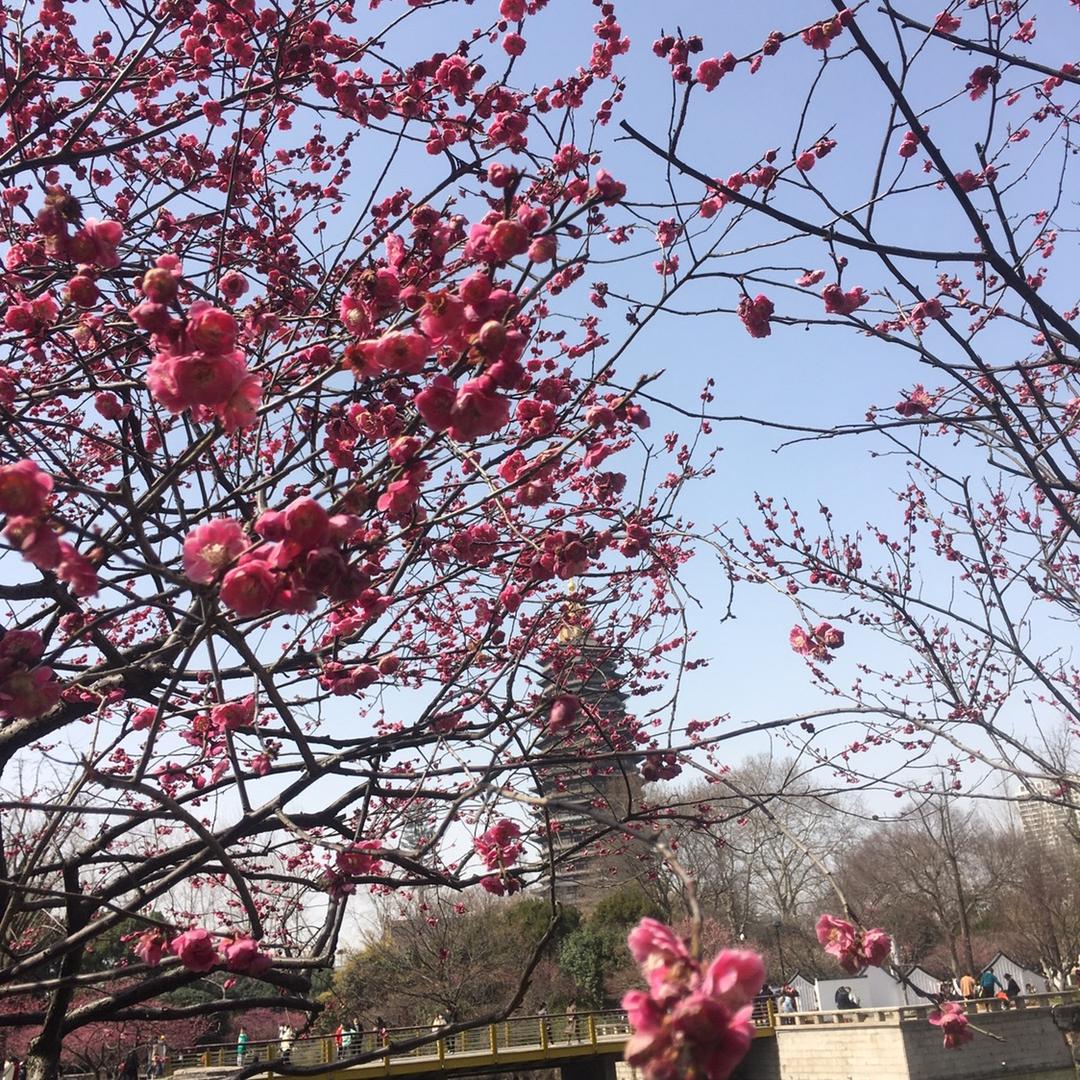 为幸福让步