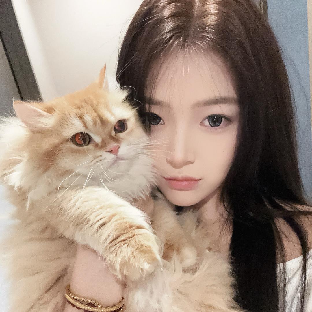一棵榕榕子