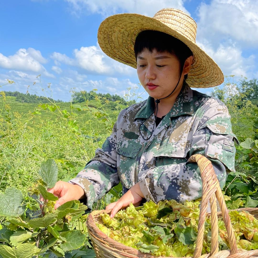 白家榛子干果铺