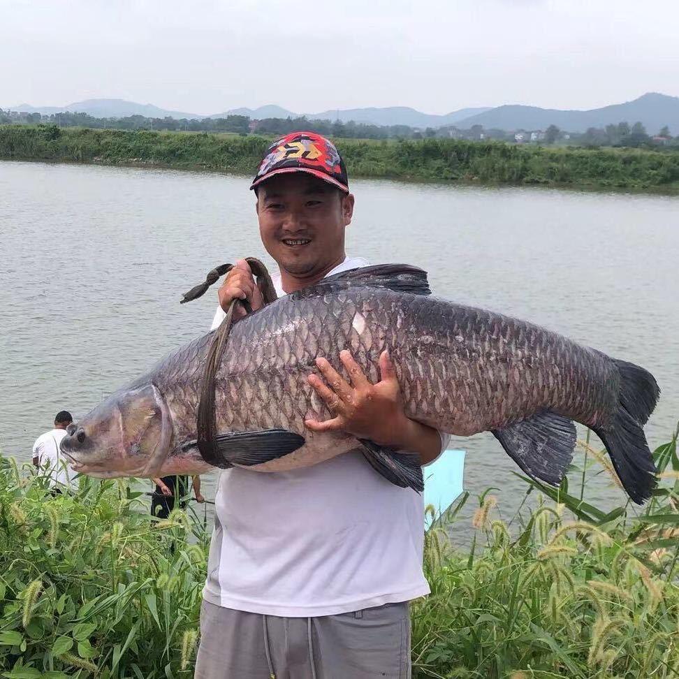 小方爱钓鱼