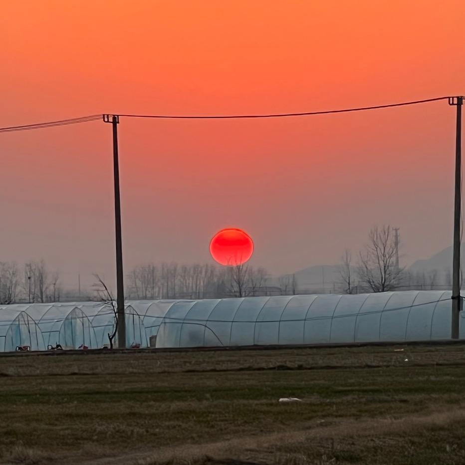 洋马收割机配件工厂 小玉～兔