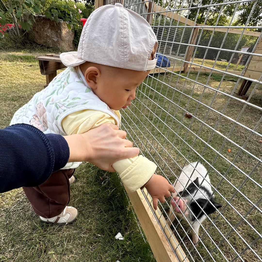 小璐（哺乳期）