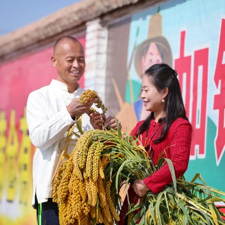 云满仓 乌江香米 李学琦