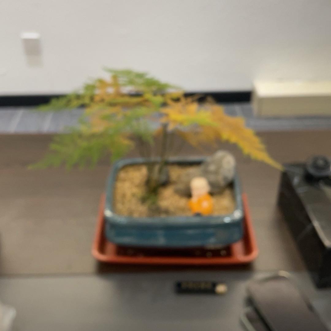 金6️⃣福（❤️店