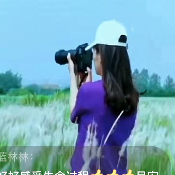 大冶唯美梅朵