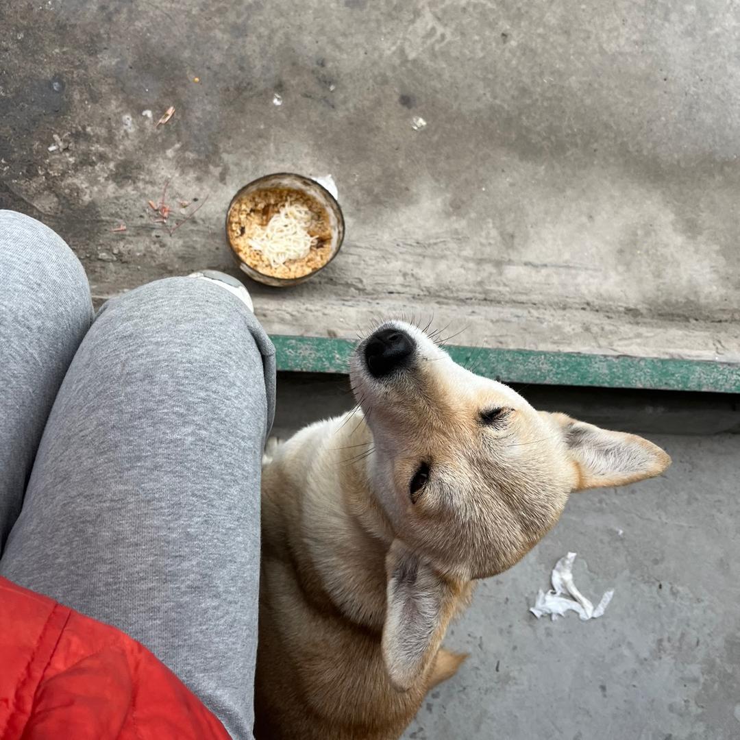 世纪联华人民路店$¥幸运星¥$