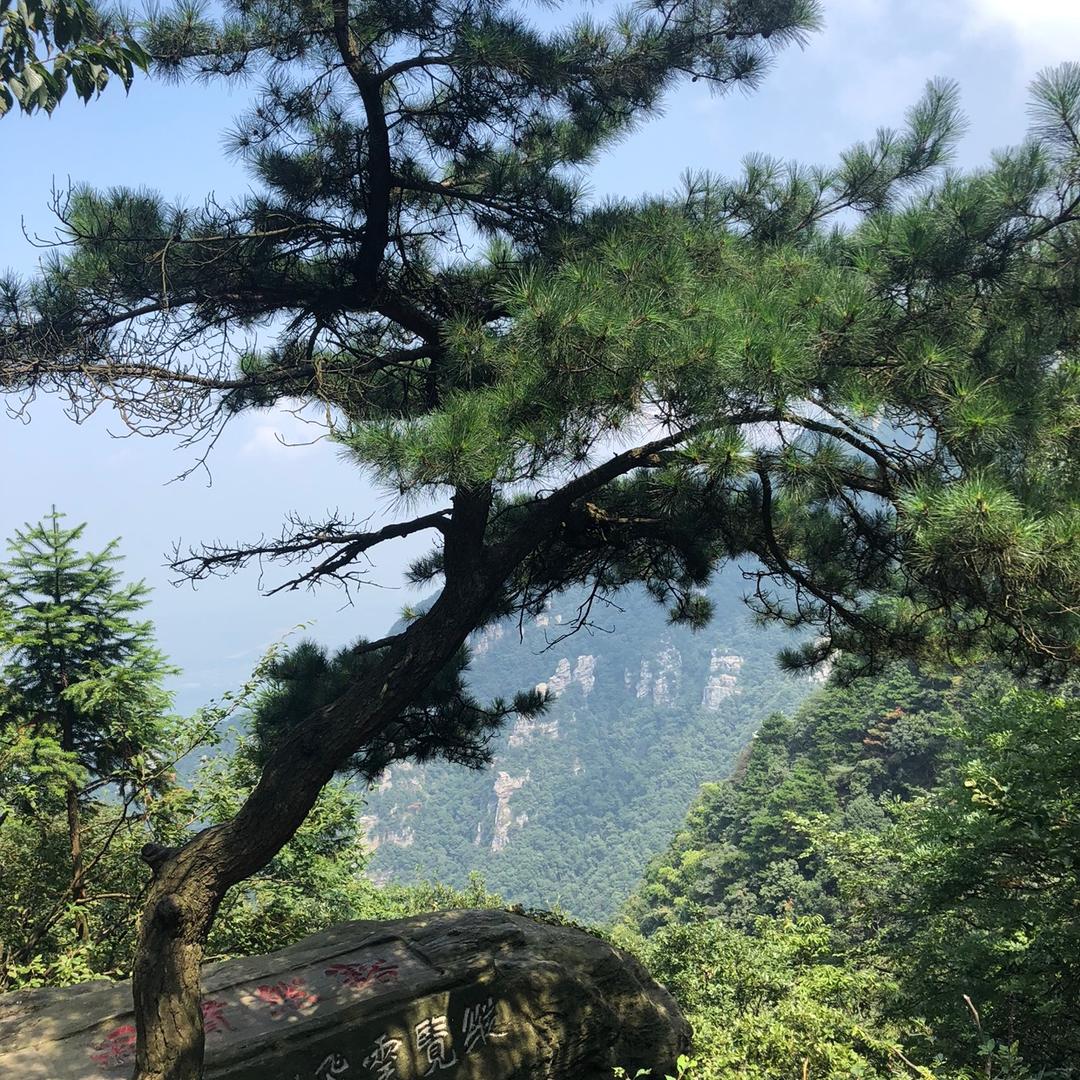 吴糖可乐（带娃中）