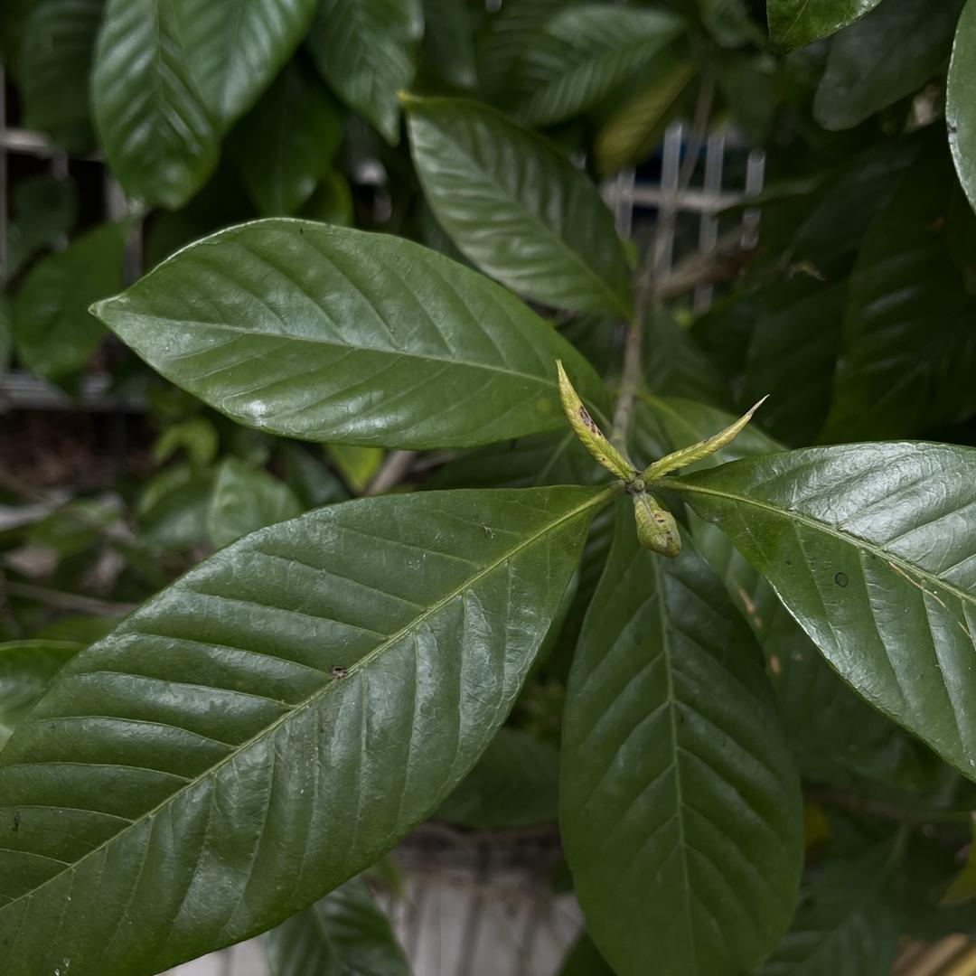 小张在卖农产品