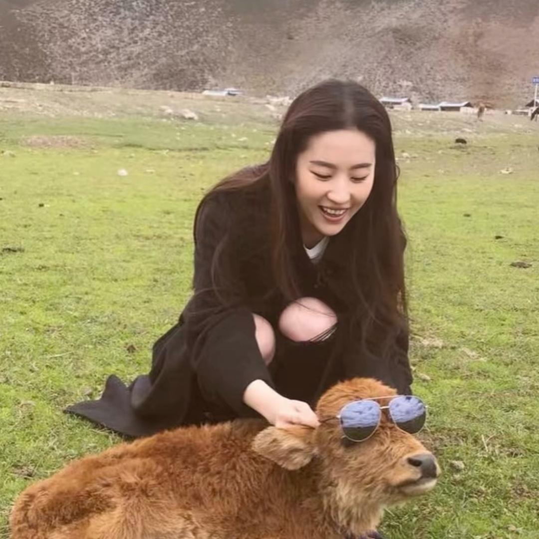 小葵花