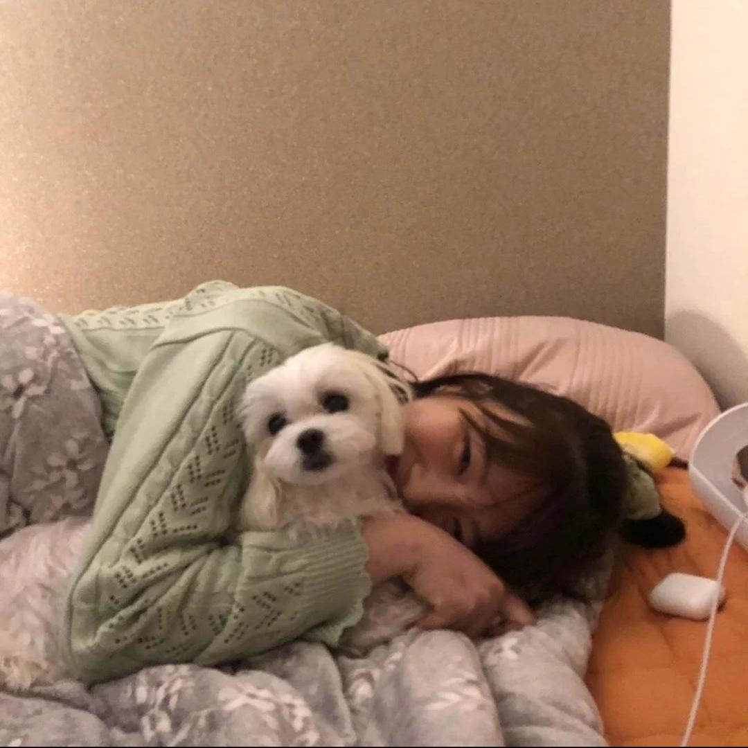懒羊羊大王^
