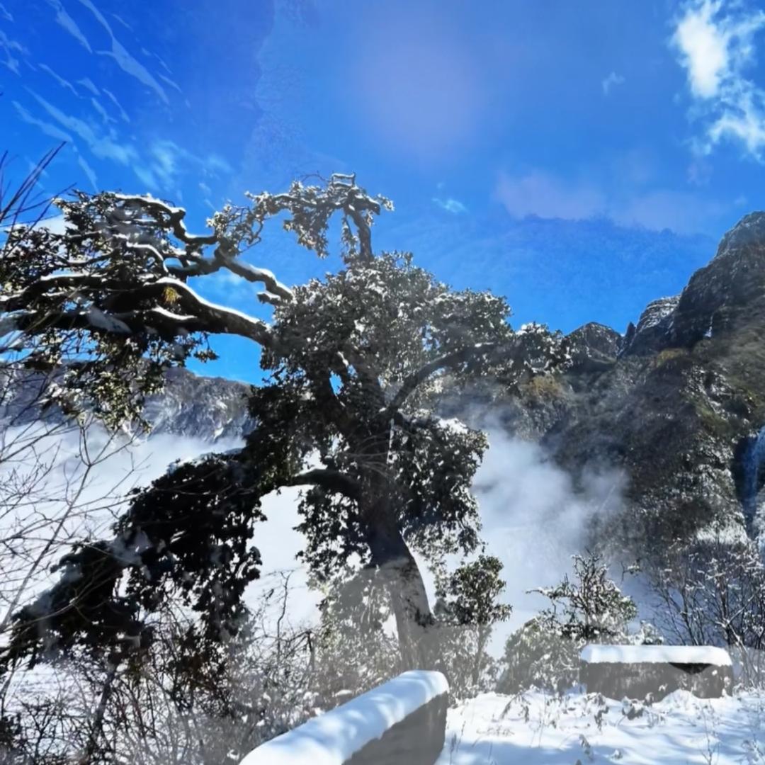 蒙山。