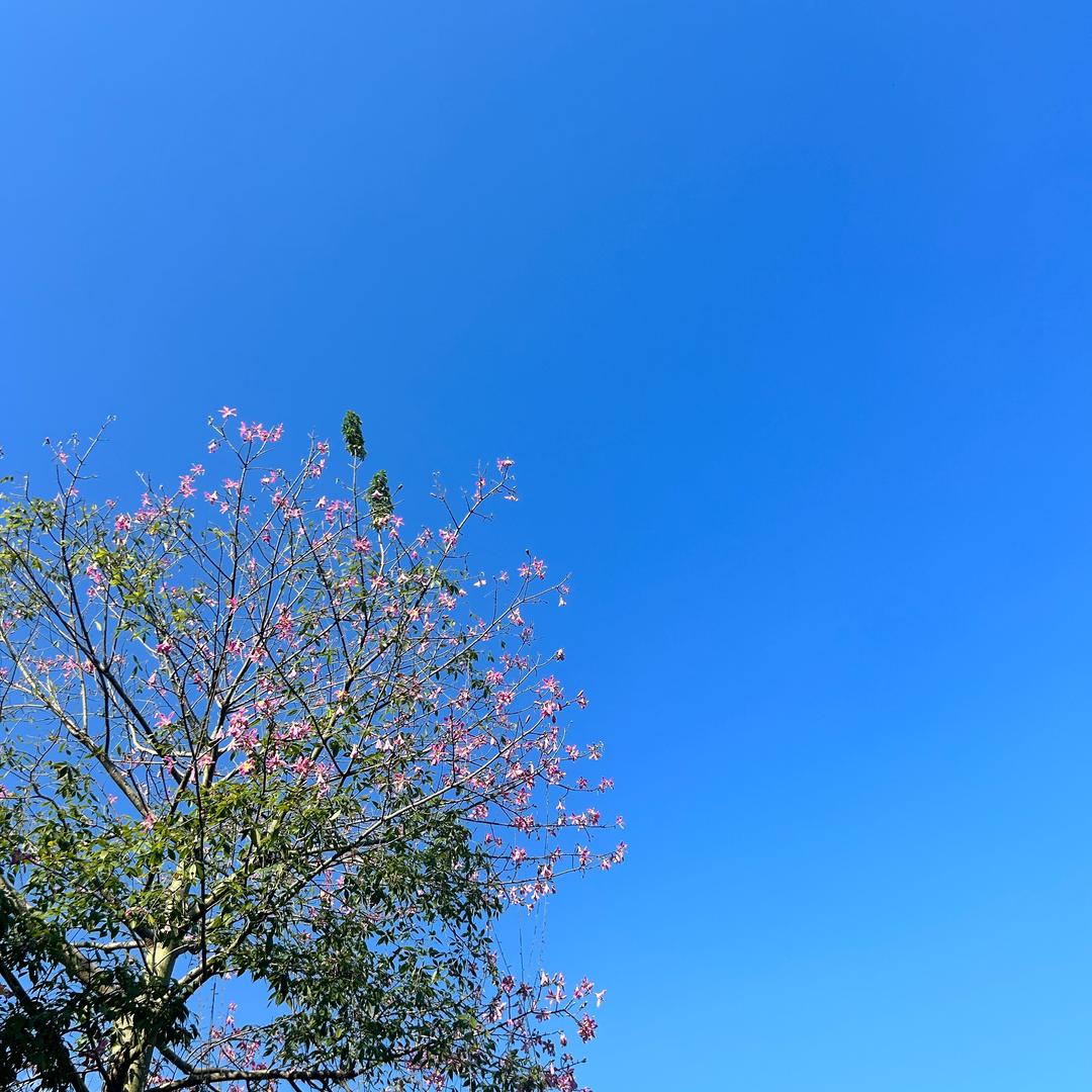 关尔