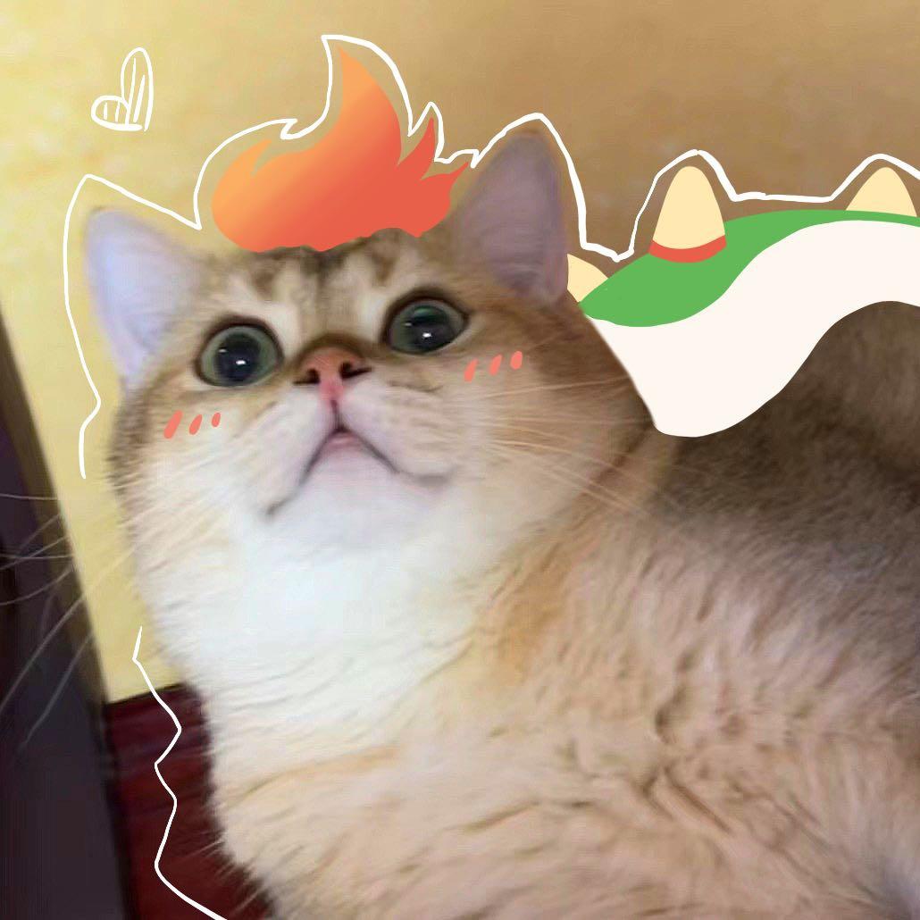 铲屎超绝伊丽娅