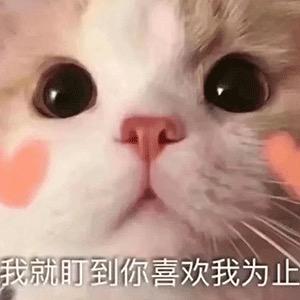 大水杯