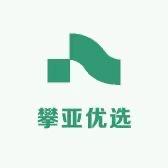 攀亚优选
