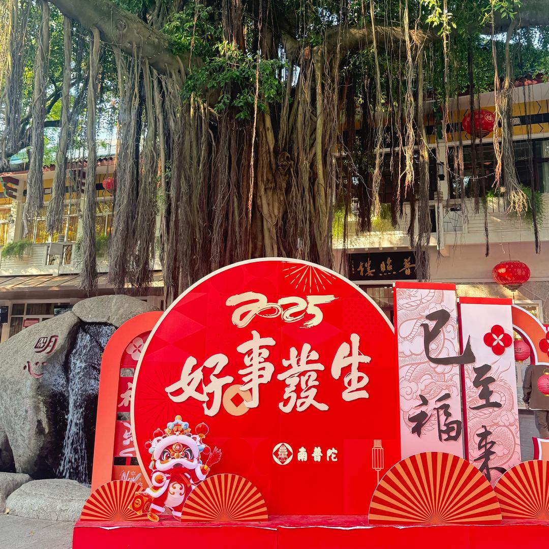竹影清枫