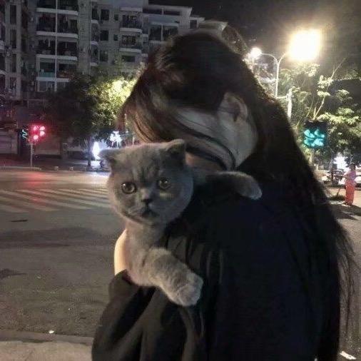 猫街女孩