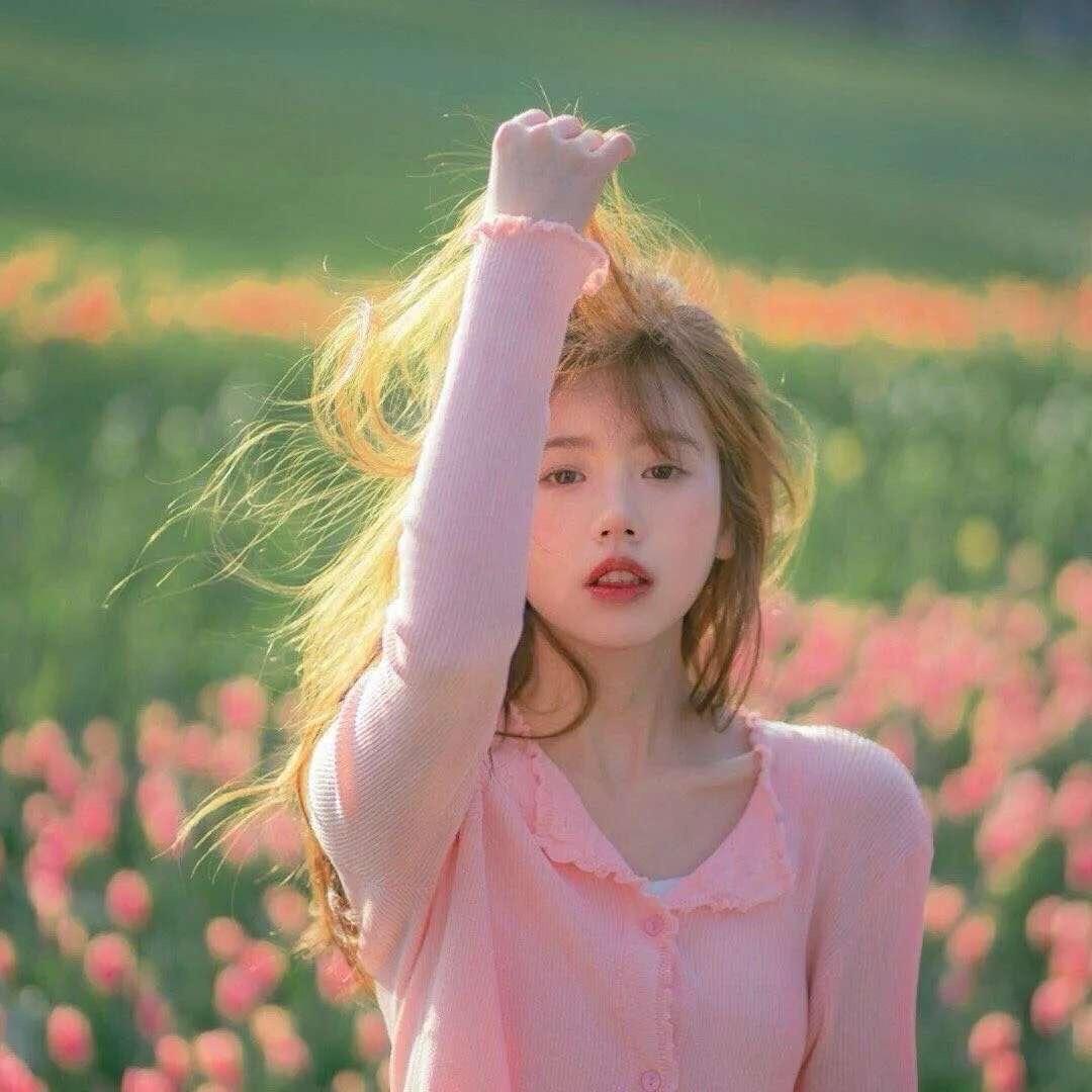 南伊
