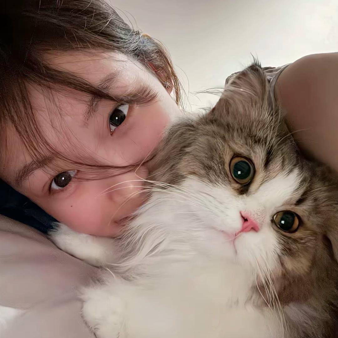 歪歪m