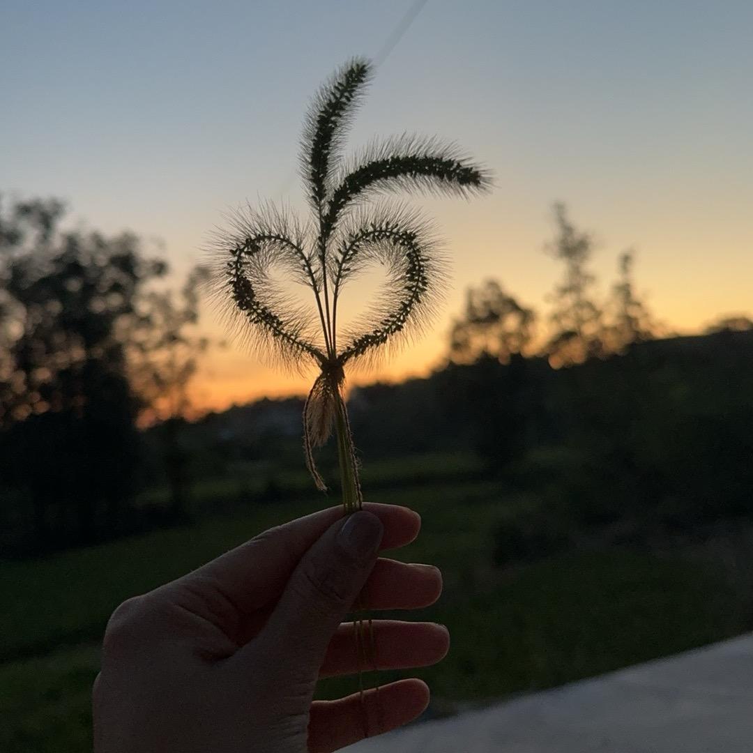 惠ℋᵅᵖᵖᵞ♡ᵕ̈