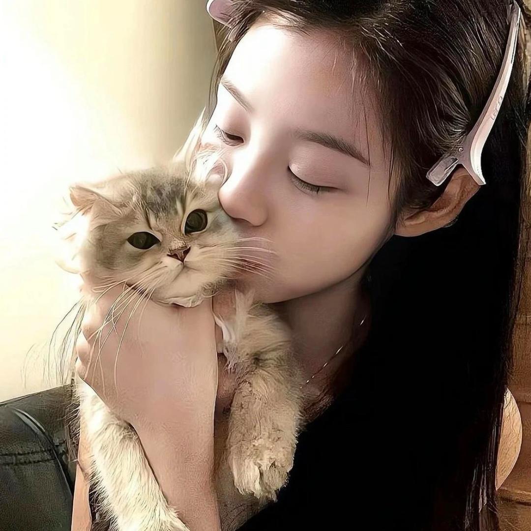 猫猫.🎊