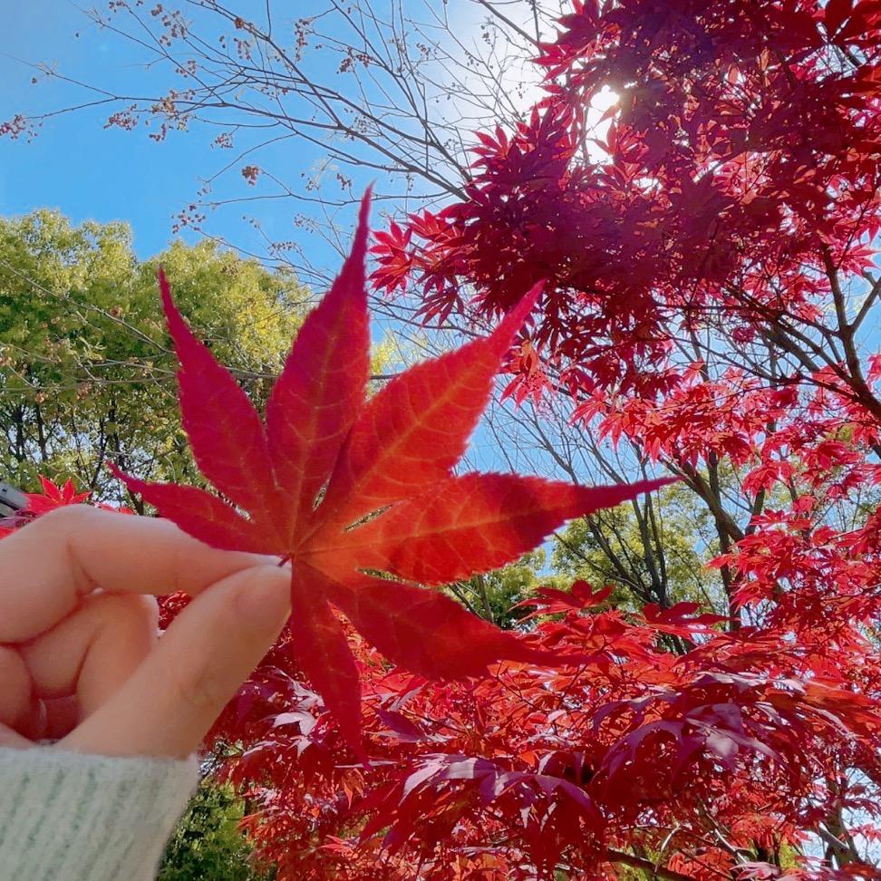 无锡宏泰企业财税咨询