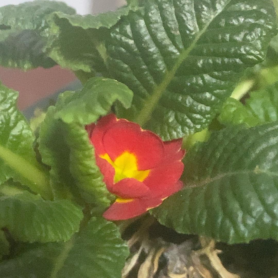 今天