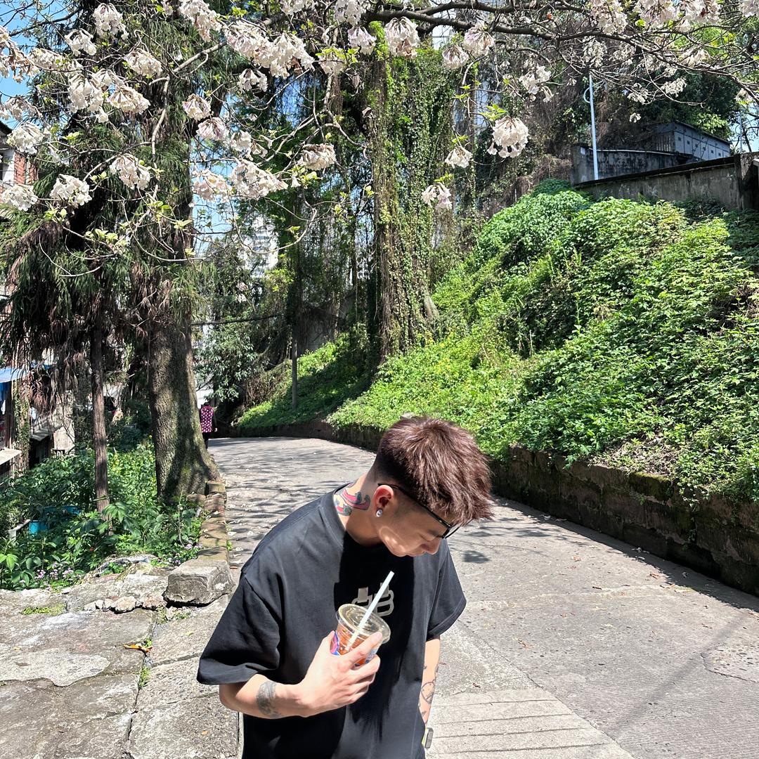 🌈北岛