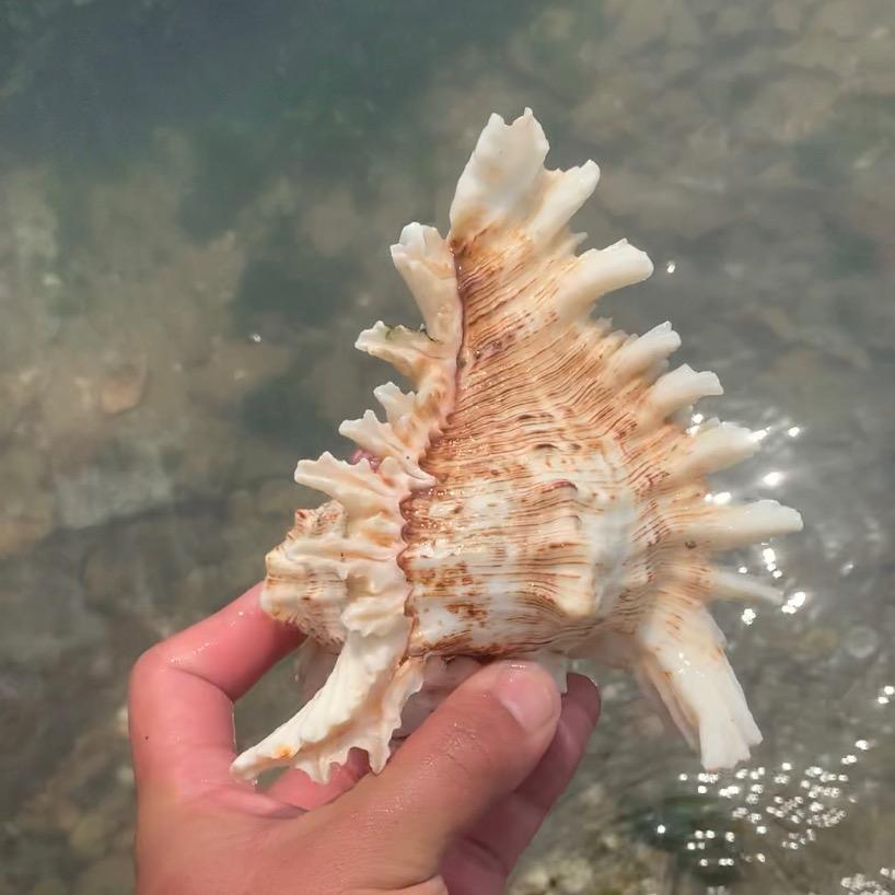 阿吕赶海