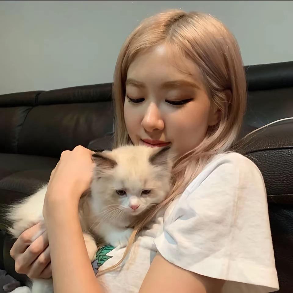 爱吃巧克力蛋糕