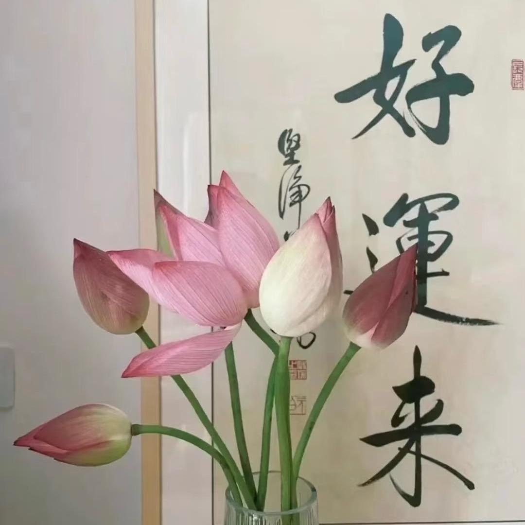 啊渔