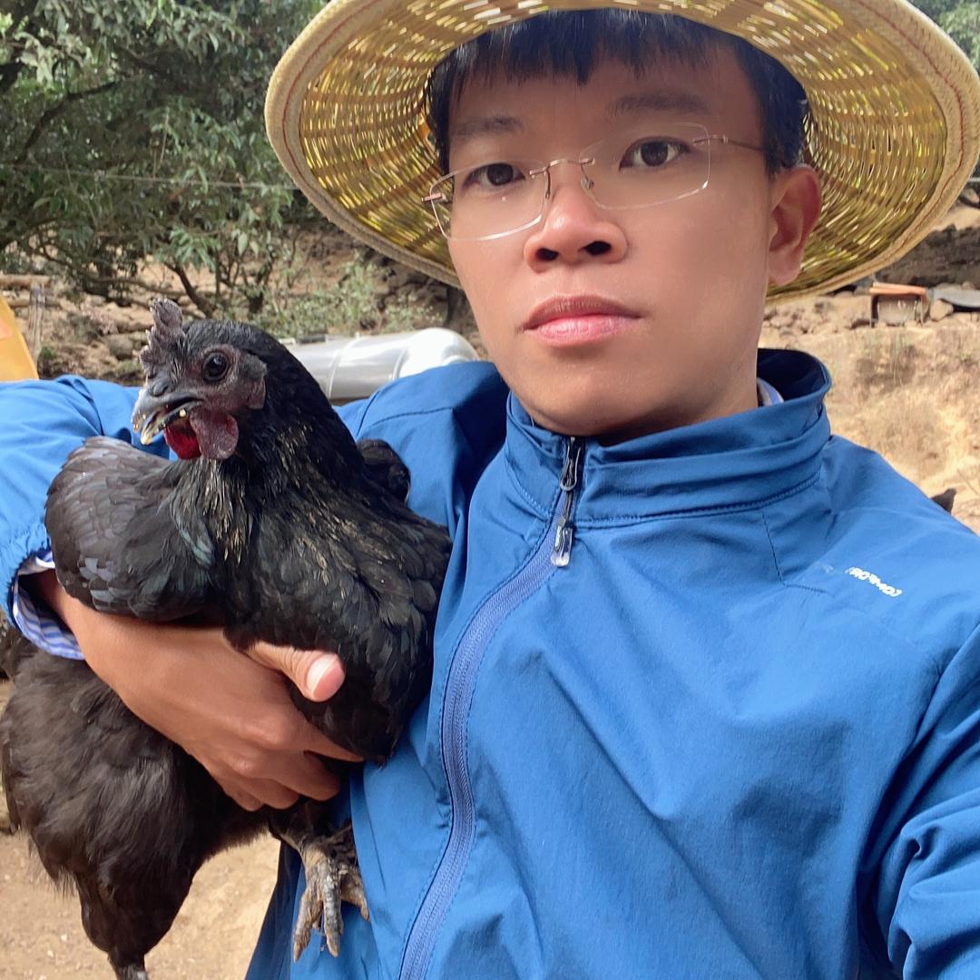 岭南成哥
